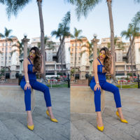 Vanessa Campos Preset Pack #vanepreset